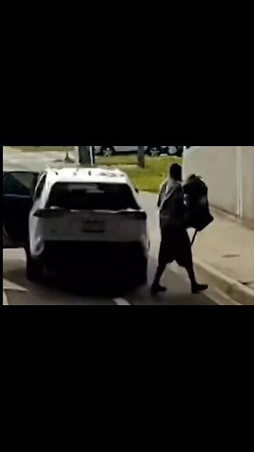 Nagger Steals White Baby