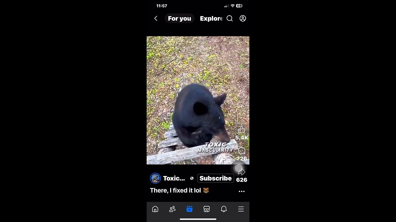 Bear Attack