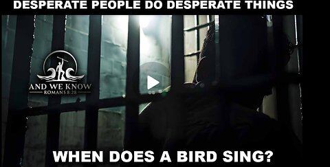 NOaDS 8.6.25: DESPERATE PEOPLE do DESPERATE things, When does a bird sing? BO Testimony, Sessions
