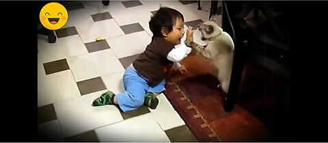 Crazy Funny Animal Moments - You Won't Stop Laughing!🤣