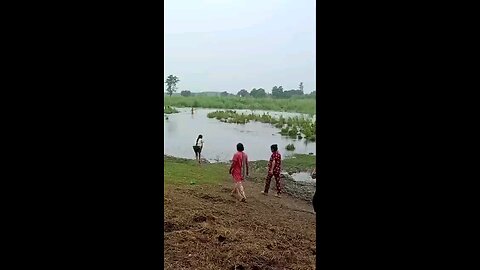 satisfying Video