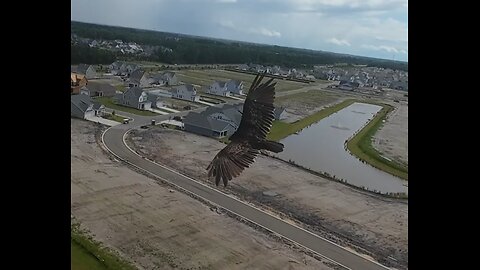 🦅 Soulful Strut - Young-Holt Unlimited 🦅