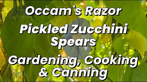 Pickled Zucchini Spears - Occam’s Razor Gardening, Cooking & Canning