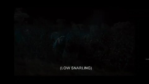 movies