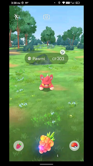 catching a shiny pawmi
