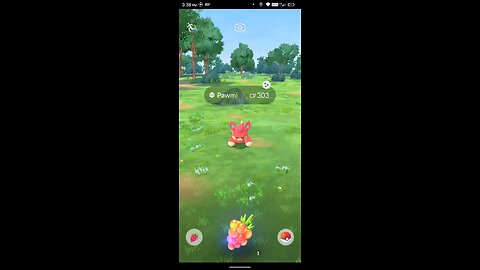 catching a shiny pawmi