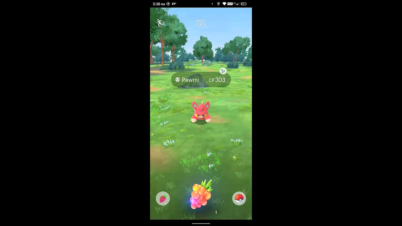 catching a shiny pawmi