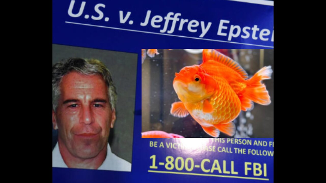 公開咗的鴨屎丁名單，齊來睇相捉金魚佬