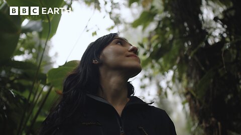 A Day In The Life Of A Wildlife Photographer In Brazil's Atlantic Forest | BBC Earth Explore