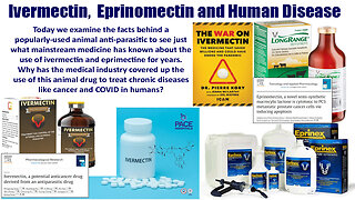 Ivermectin, Eprinomectin, and Human Disease