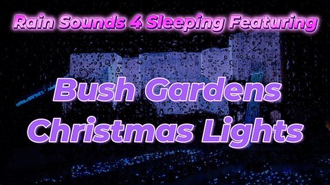 Rain Sounds 4 Sleeping Featuring Bush Gardens Christmas Lights