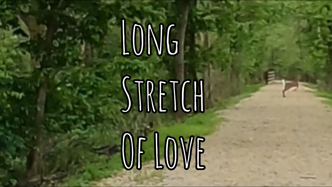 Long Stretch of Love