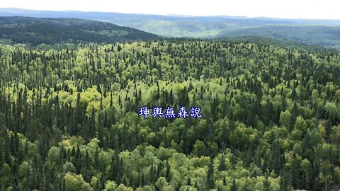 There are no forests on earth 2016 中文字幕