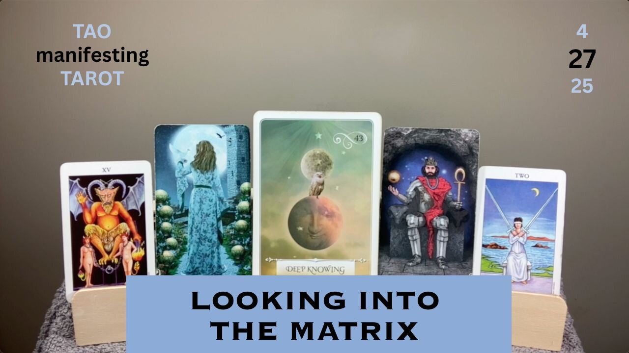 LOOKING INTO THE MATRIX