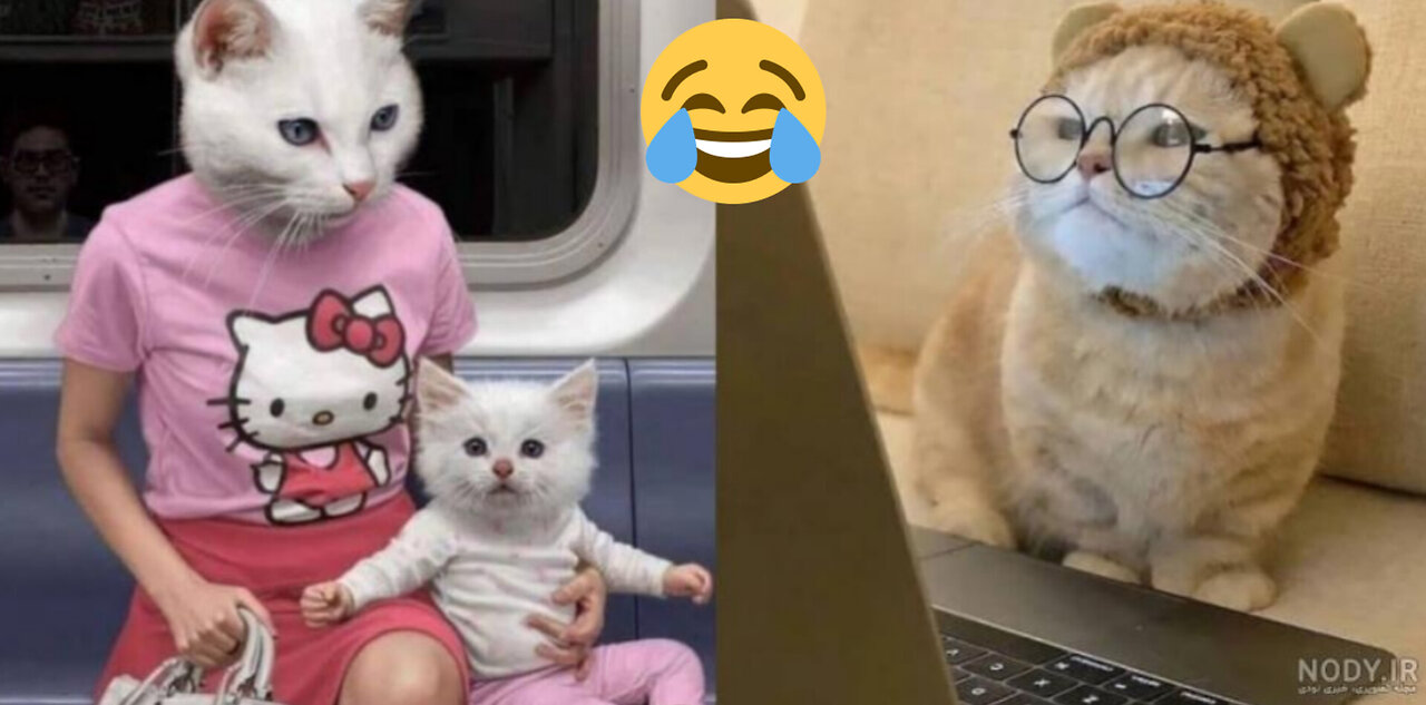 Funny animal video 💖