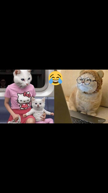 Funny animal video 💖