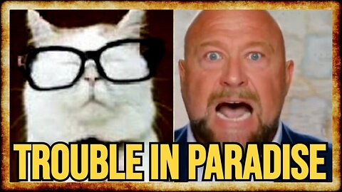 Alex Jones FEUDS With 'Catturd' Over Elon's Trump-Epstein Tweets