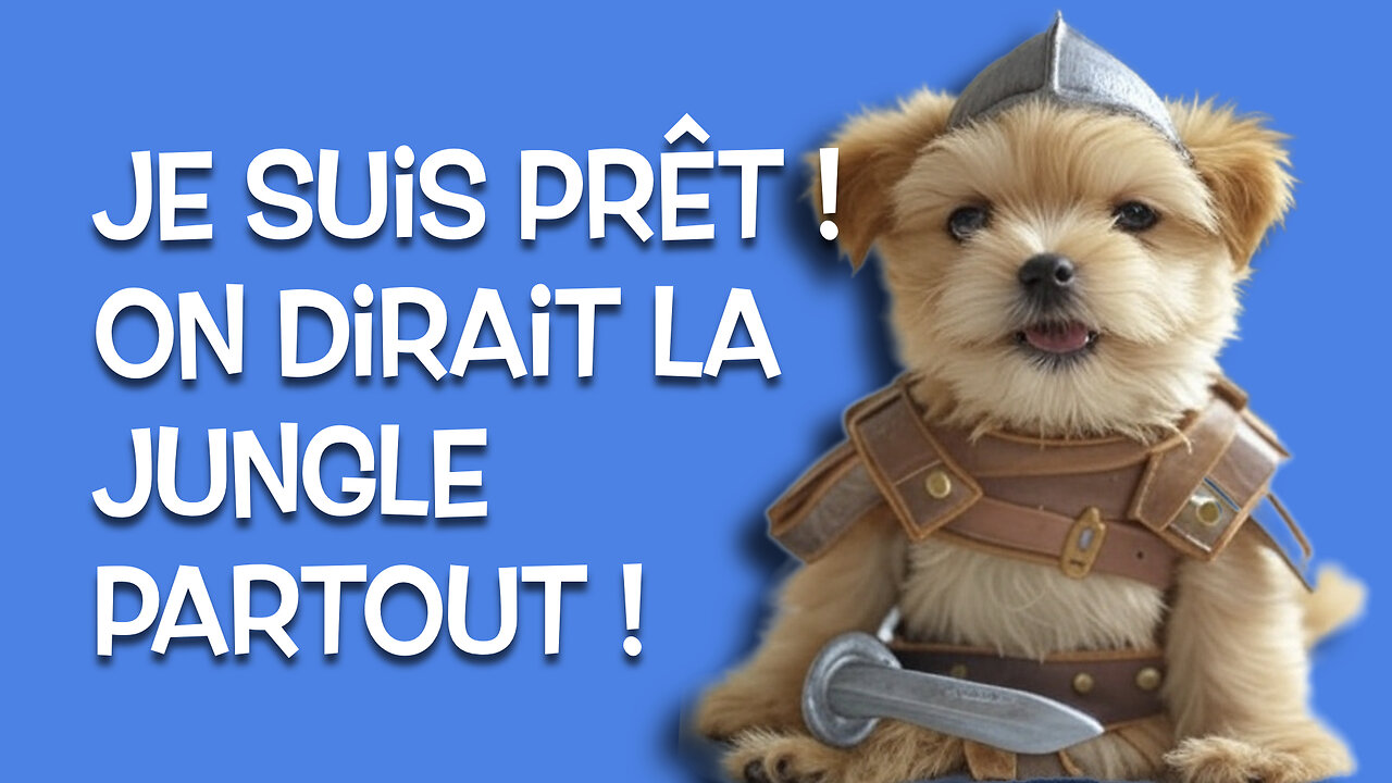 Deviens un titan de la socialisation pour ton chiot