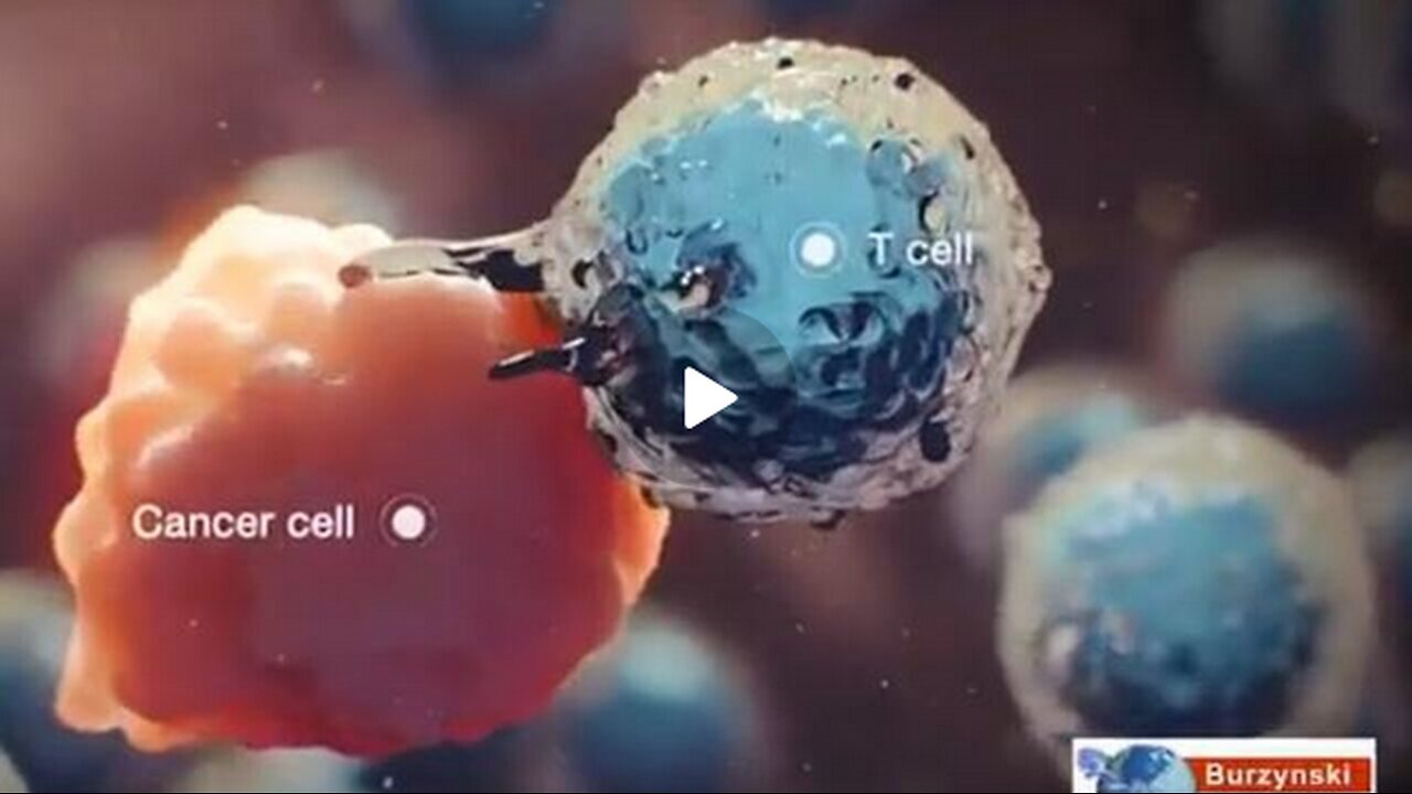 Burzynski Cancer Documentary (SPANISH CLOSED CAPTION)