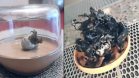 The Alien Meteorite Situation Just Got Alot Crazier...
