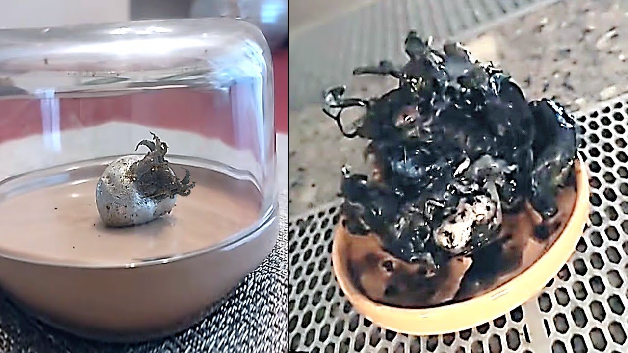 The Alien Meteorite Situation Just Got Alot Crazier...