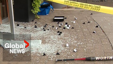 "Crazy": Police bust brazen daylight robbery at North York jewellery store