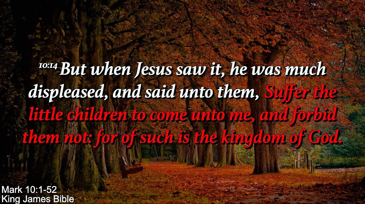 Sunday Morning, November 2nd - Forbid Them Not