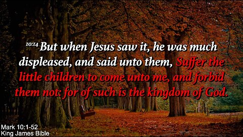 Sunday Morning, November 2nd - Forbid Them Not