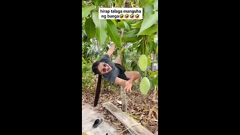 funny comedy video