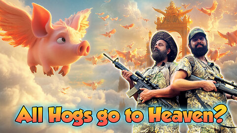 All Hogs go to Heaven?