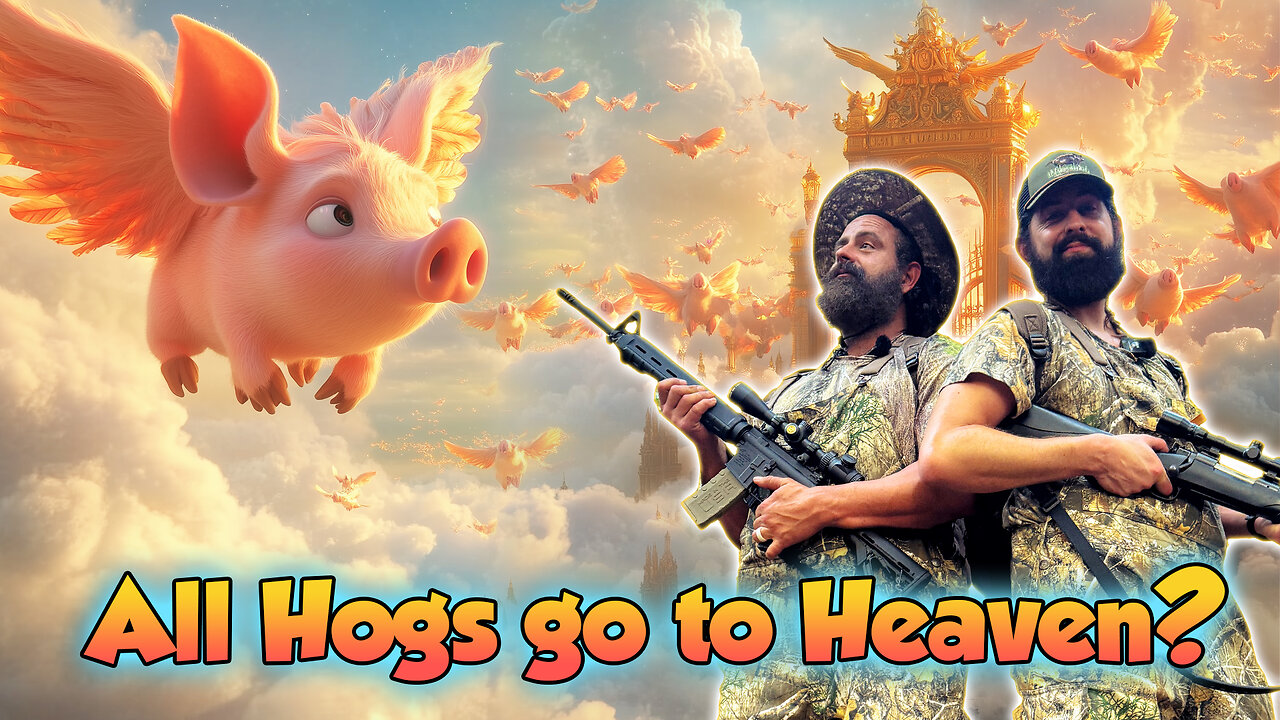 All Hogs go to Heaven?