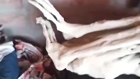 "Unearthing Secrets: 2 Three-Fingered Mummies Newly Discovered in Peru"