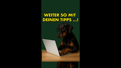 Hier die Tipps für Deinen Hund …