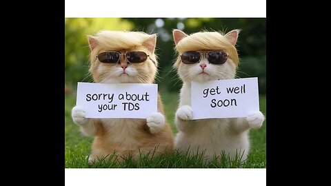 liberal democrat cult klan sheep tds Trump Derangement Syndrome now an official psychiatric disorder