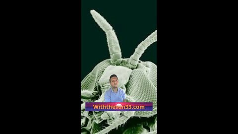 Parasites and cancer