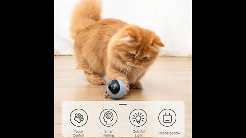 Rechargeable Interactive Cat Self-rotating Ball Toy, with Build-in LED Light