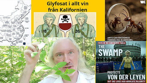 Roundup-vin. Anti-beroende-trick. Grok 4: Imponerande, baserad, blockerad. Geopolitik. Fåfänga myror