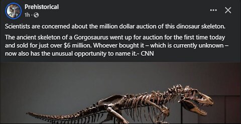 Dinosaur Fossils on FB