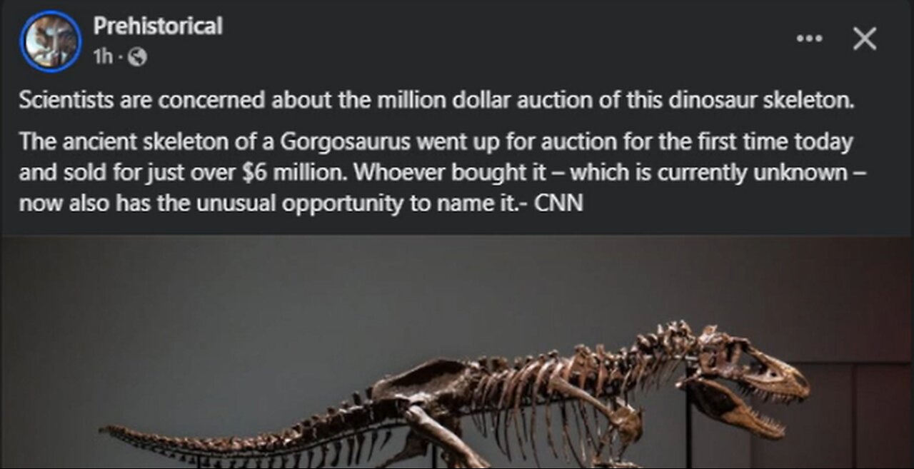 Dinosaur Fossils on FB