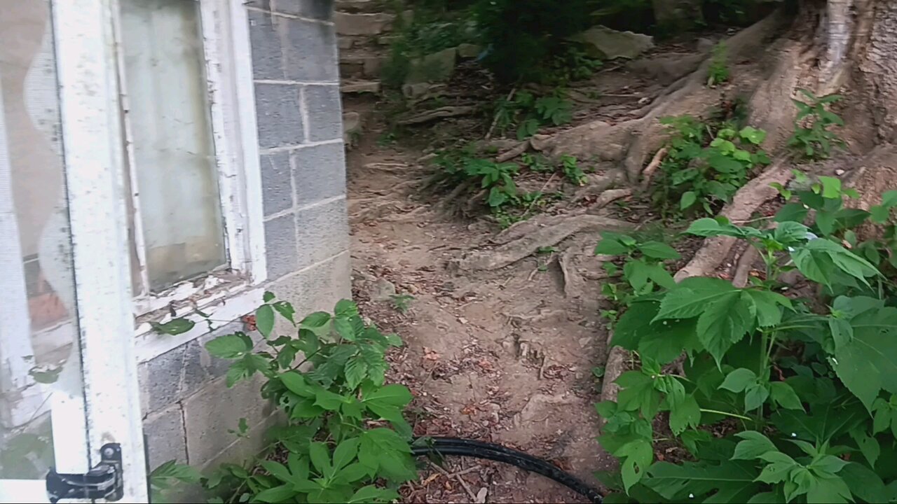 My walk to work
