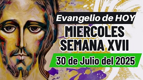Evangelio de HOY Miércoles Semana XVII 30 07 2025 Mt 13,44-46
