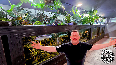2-YEAR UPDATE: MASSIVE 4500-Gallon Amazonian Xingu River Aquarium!