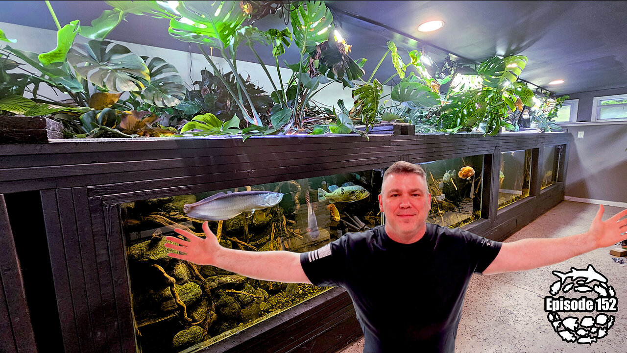 2-YEAR UPDATE: MASSIVE 4500-Gallon Amazonian Xingu River Aquarium!