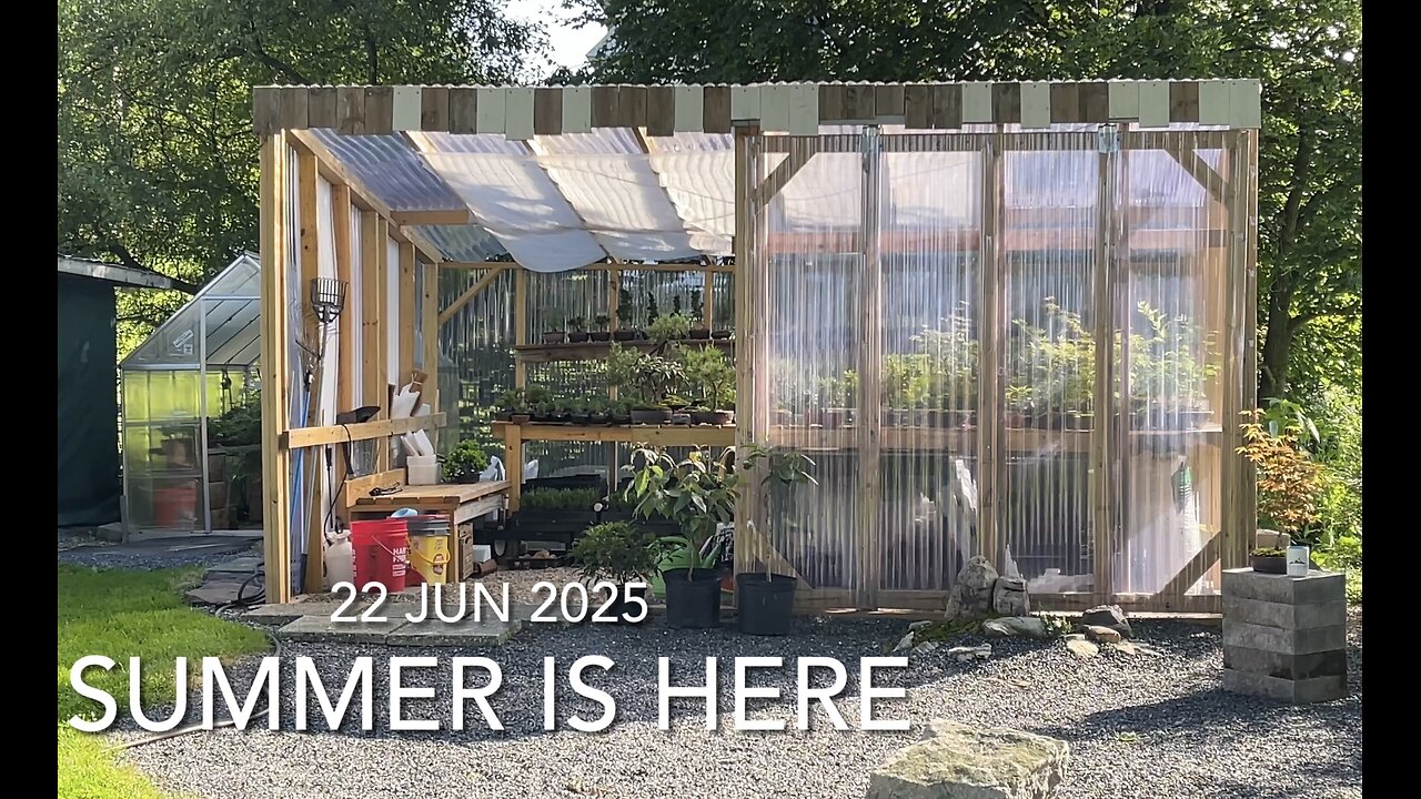 Summer is here, are you excited yet?!