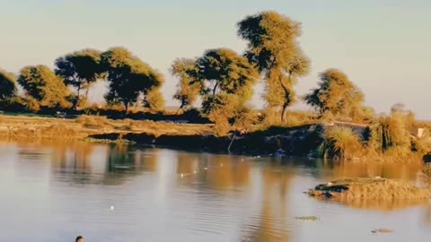 My Beautiful Village ❤ #maxrecords #villagelife #larkana #sindh #pakistan