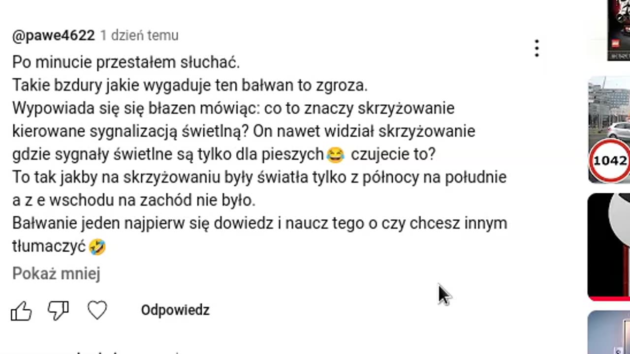 Owieczki drogowe - owczarska życzliwość i rozumienie