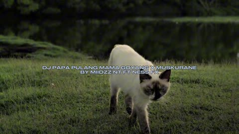 DJ Papa Pulang Mama Goyang x Muskurane by Miidzz NT –NeonRhythm🎧