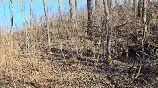 Building a Forest Bunker_ Secret Underground Base! #livingoffgrid