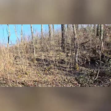 Building a Forest Bunker_ Secret Underground Base! #livingoffgrid