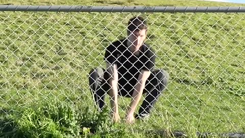How Animals Get Over a Fence (With Emojis) 😂